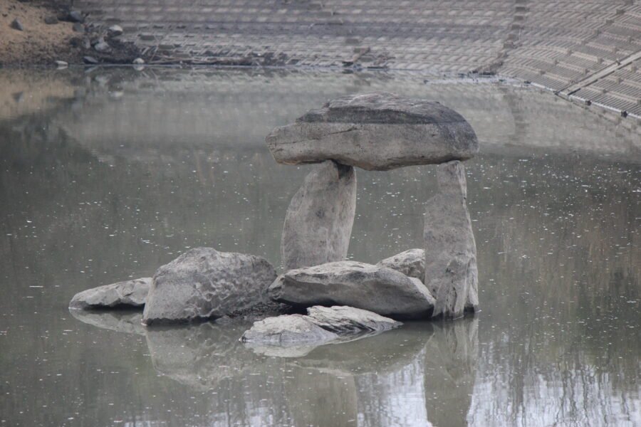 雨模様の池の風景