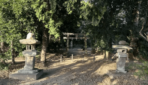 長い一本道の参道が神秘的！香川県東かがわ市の県指定自然記念物『二宮神社の森』を訪問ッ！