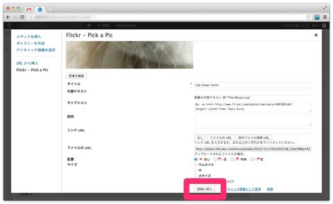 flickr-pickapic-4