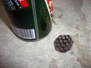 蜂の巣