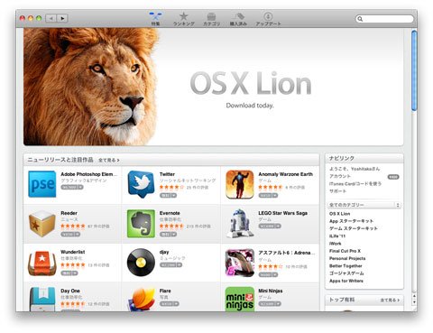 Lion 1