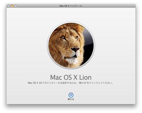 Lion 3