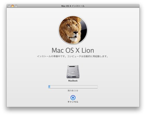 Lion 6