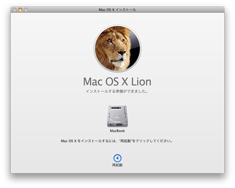 Lion 7