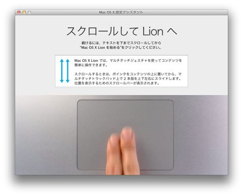 Lion 8