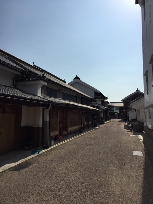 散策路の全景