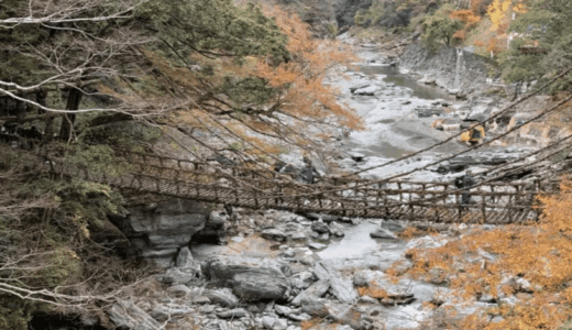 日本三奇橋のひとつッ！源氏に追われた平家一族も渡った徳島県三好市の『祖谷のかずら橋』訪問ッ！