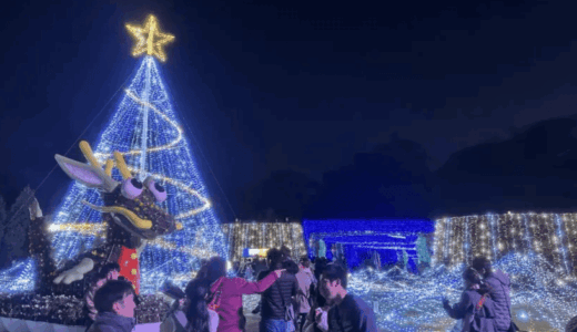 国営讃岐まんのう公園のウィンターファンタジー体験！冬の夜空に広がる幻想的な光の世界へ！