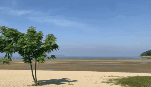 香川県三豊市にある日本のウユニ塩湖『父母ヶ浜』へ行ってきました