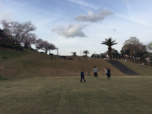 三島公園の芝生広場