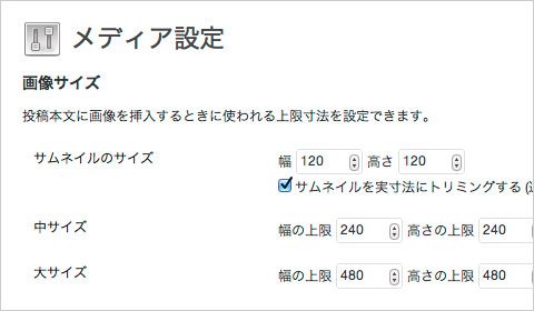 Wp image size