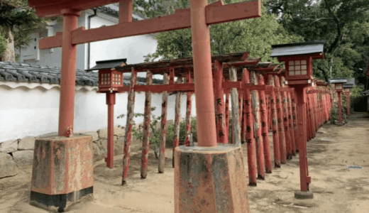 連なる鳥居と樹齢 800 年の御神木が圧巻！香川県東かがわ市の『白鳥神社』を訪問！