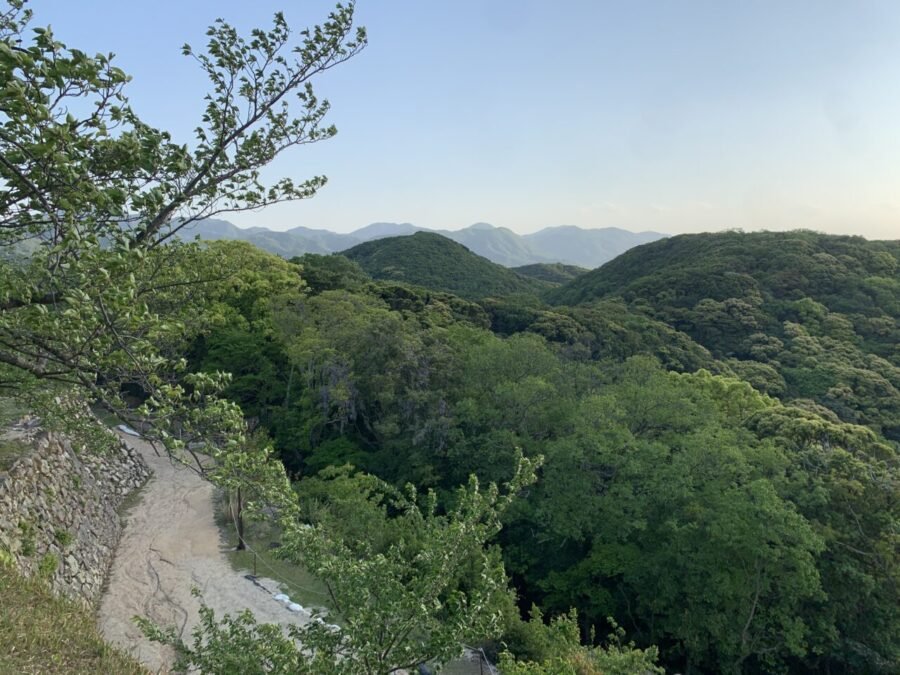 天守閣から見た景色3